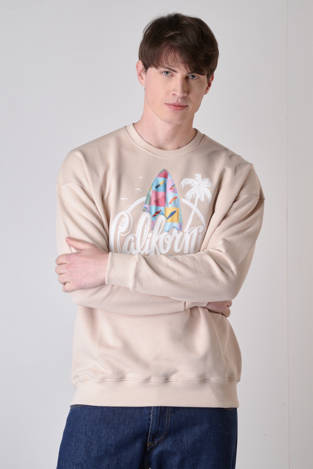 Sand crew-neck sweatshirt with California print and V2 fabric insert