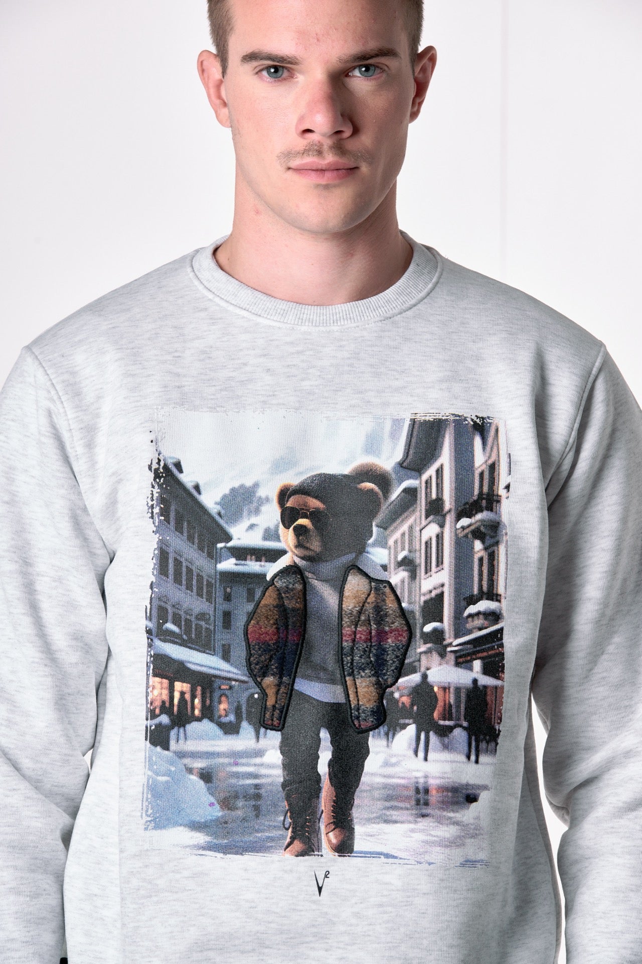 Felpa Girocollo Grigia con stampa Teddy e ricamo in tessuto V2