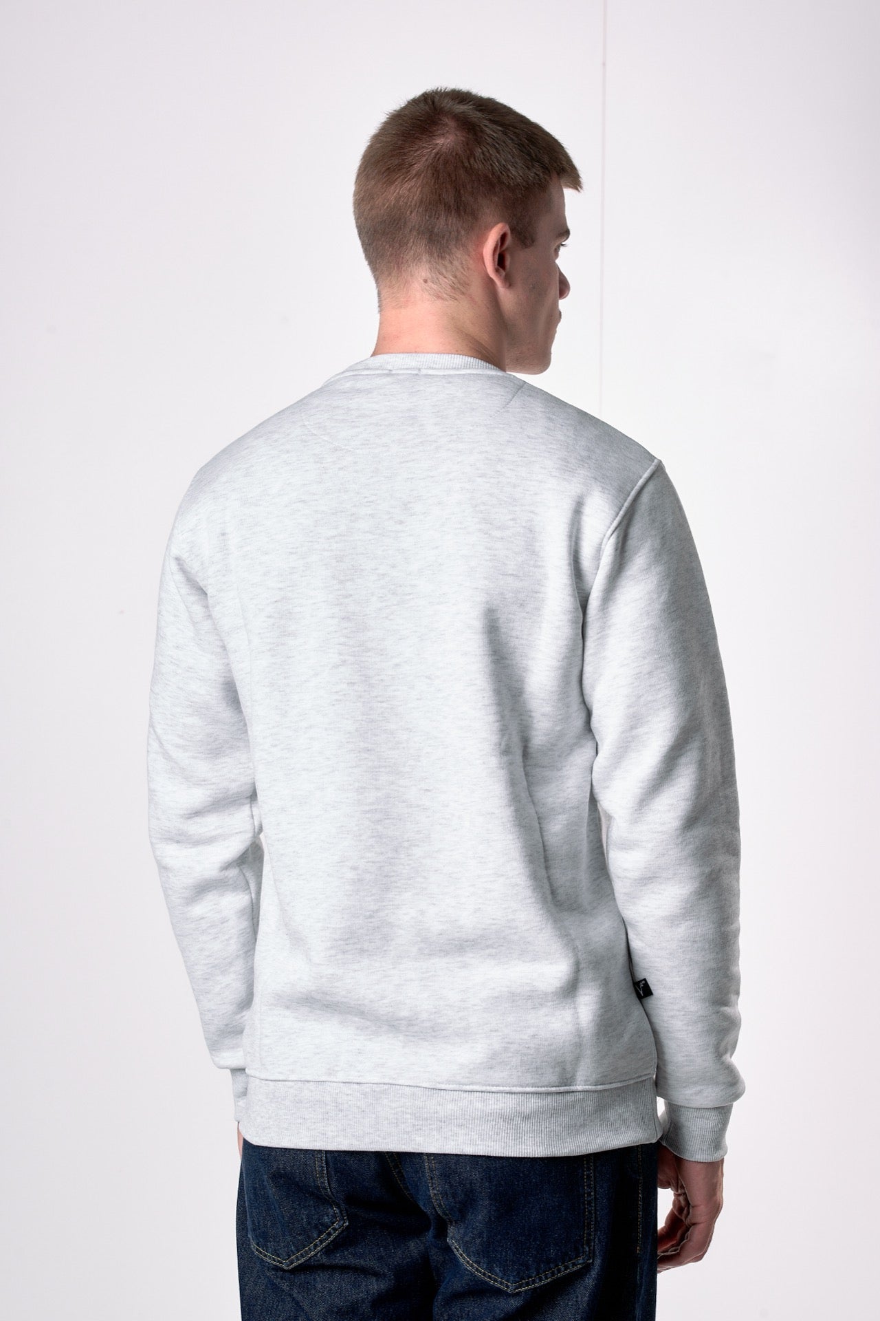 Felpa Girocollo Grigia con stampa Teddy e ricamo in tessuto V2