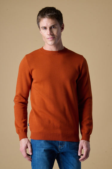 Maglione Girocollo Punto Stoffa Coccio con Toppe Ricamate in doppio tessuto V2